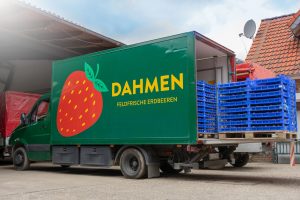 Frische Erdbeeren & Heidelbeeren